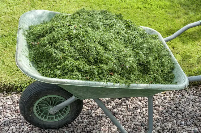 how to dispose of grass clippings