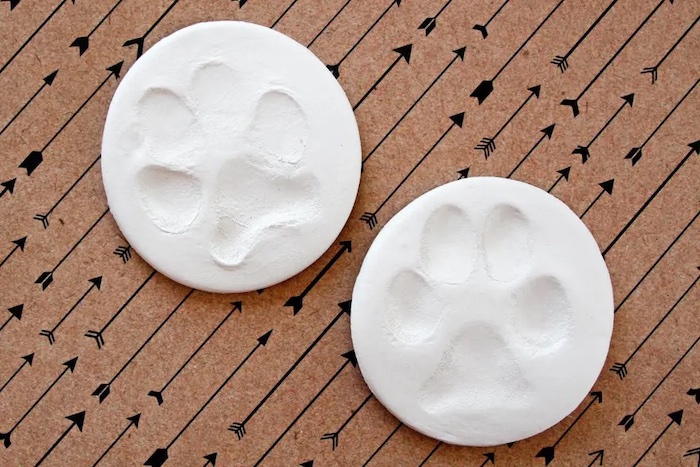 how to preserve clay paw prints