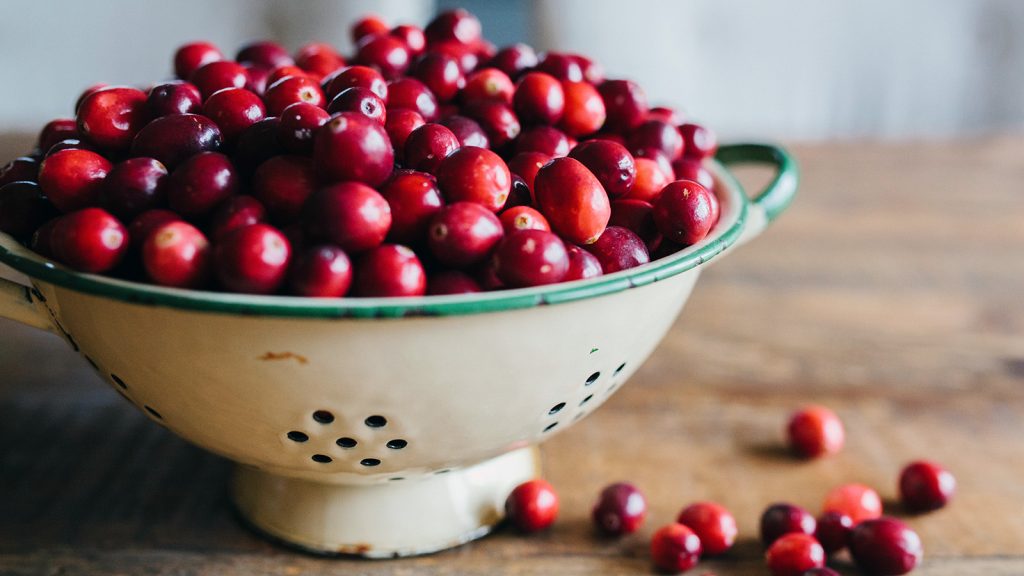 How to Preserve Cranberries for Decorating Your House StuffSure