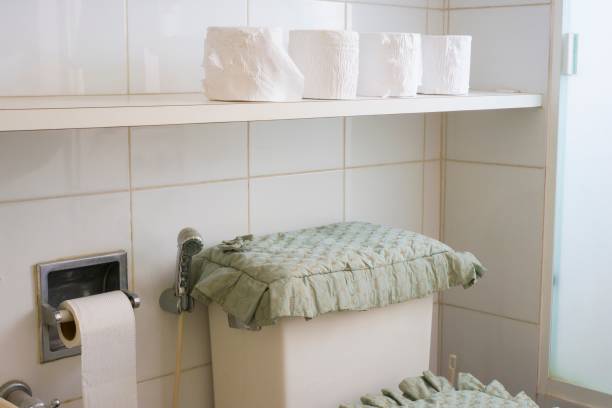 Detail in the bathroom of home with toliet paper in a row.