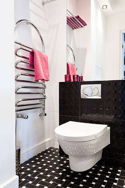 Vibrant cottage - Toilet in a modern bathroom